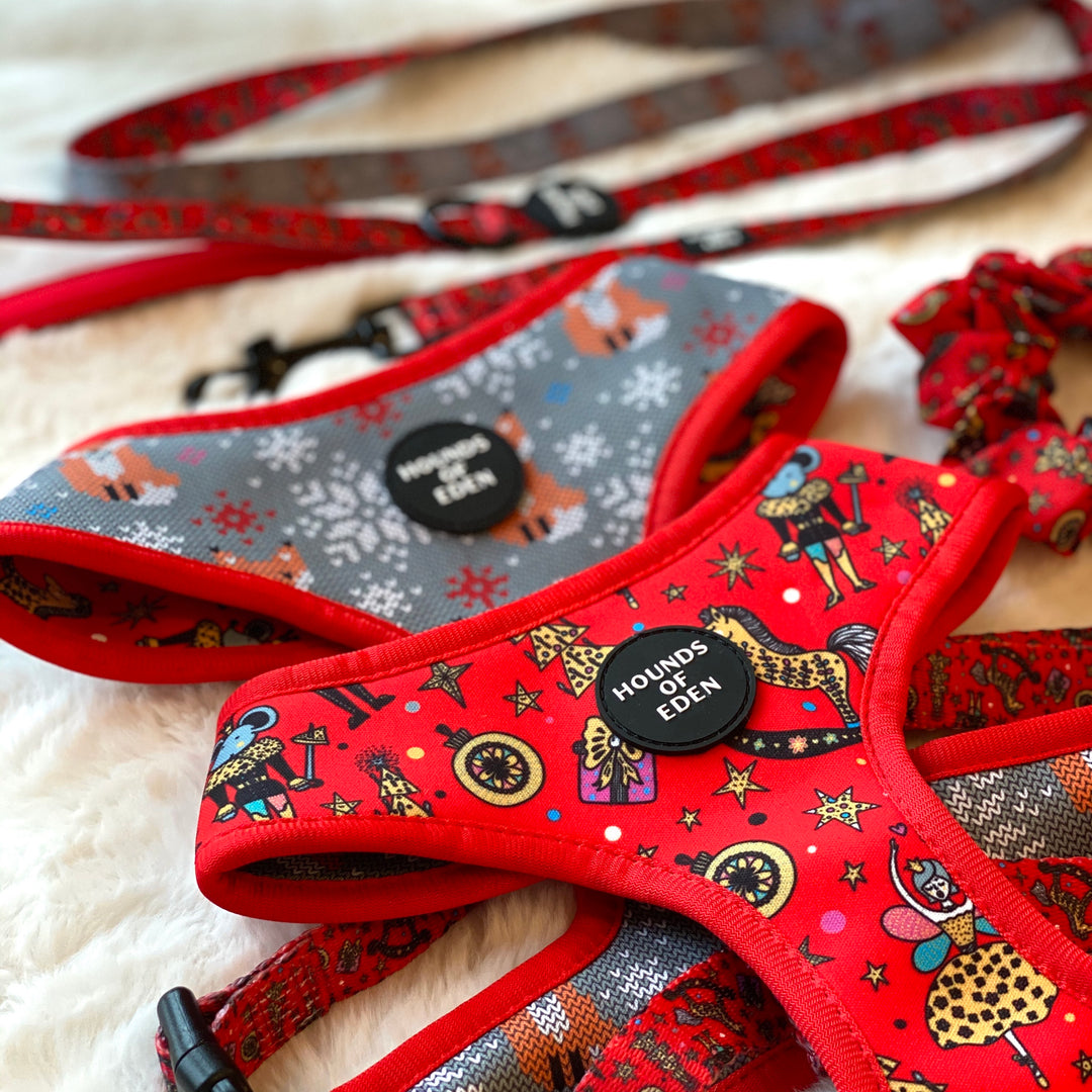 The Foxy Nutcracker - Christmas 'Jumper' Reversible Dog Harness