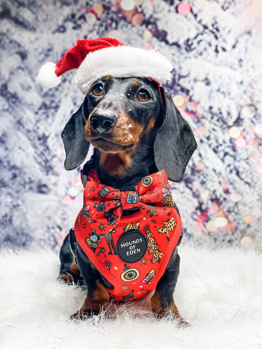 The Foxy Nutcracker - Christmas 'Jumper' Reversible Dog Harness