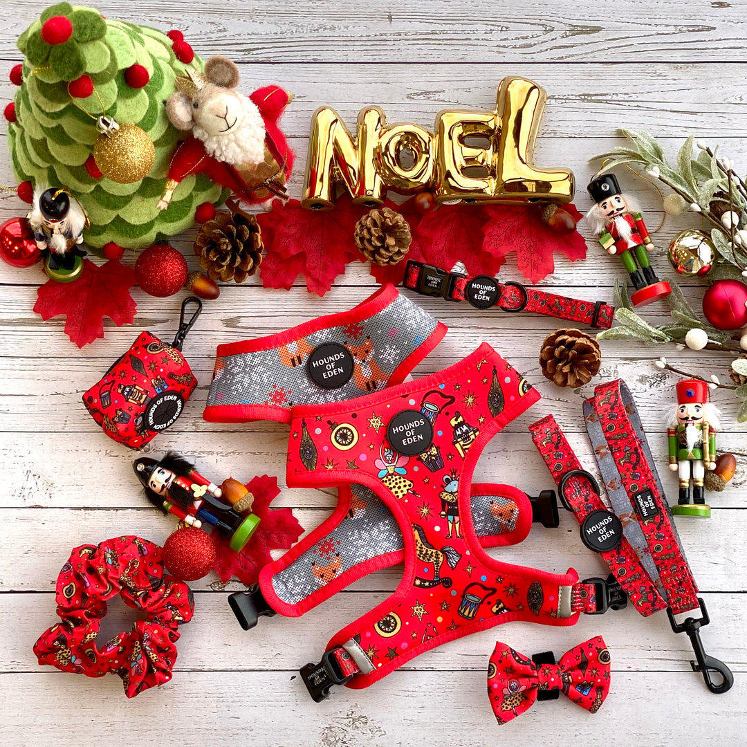 The Foxy Nutcracker - Christmas 'Jumper' Dog Collar