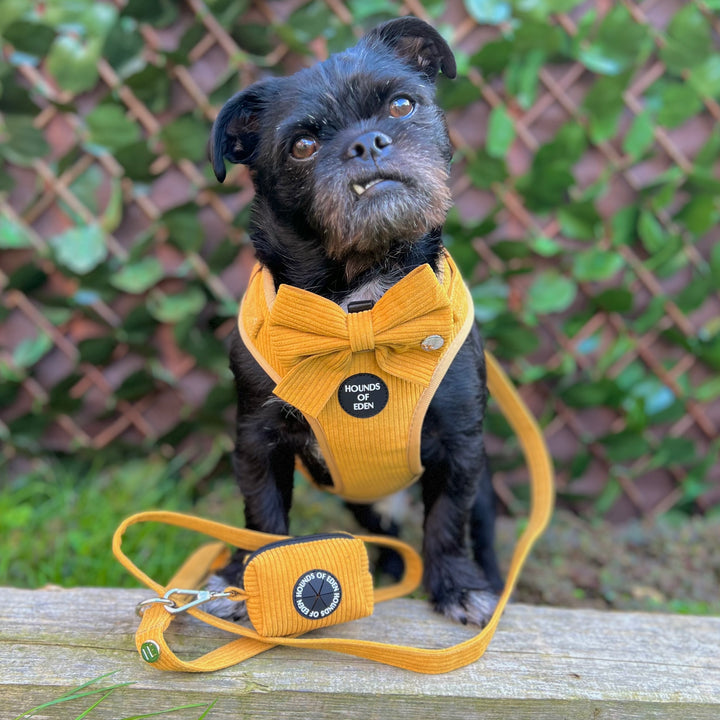 Mustard Yellow Corduroy Poop Bag/Treat Holder