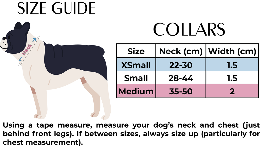 Teddy it's Cold Outside Dog Collar