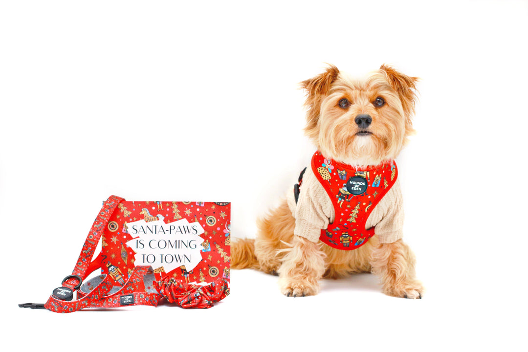 The Foxy Nutcracker - Christmas 'Jumper' Reversible Dog Harness