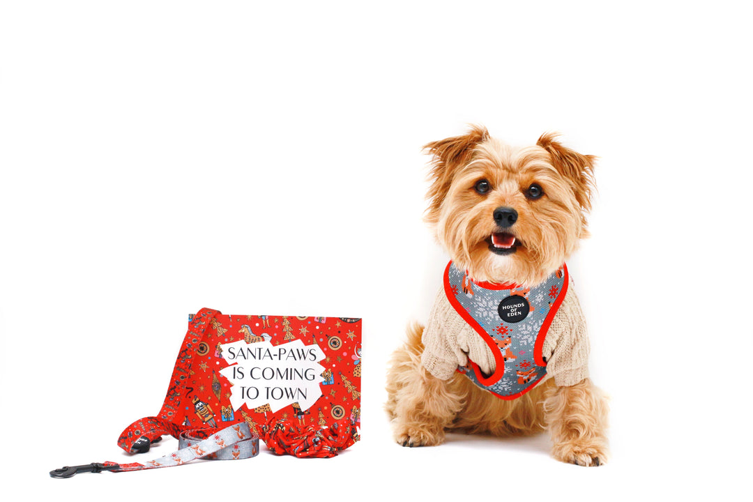 The Foxy Nutcracker - Christmas 'Jumper' Reversible Dog Harness